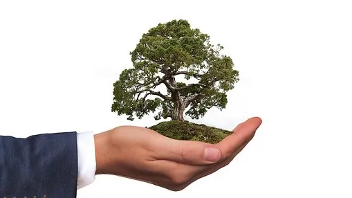 Rubrik_Naturschutz_-c_pixabay-environment-2948299__340